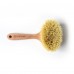 Dry Body Brush with Long Cactus Bristles & Handle